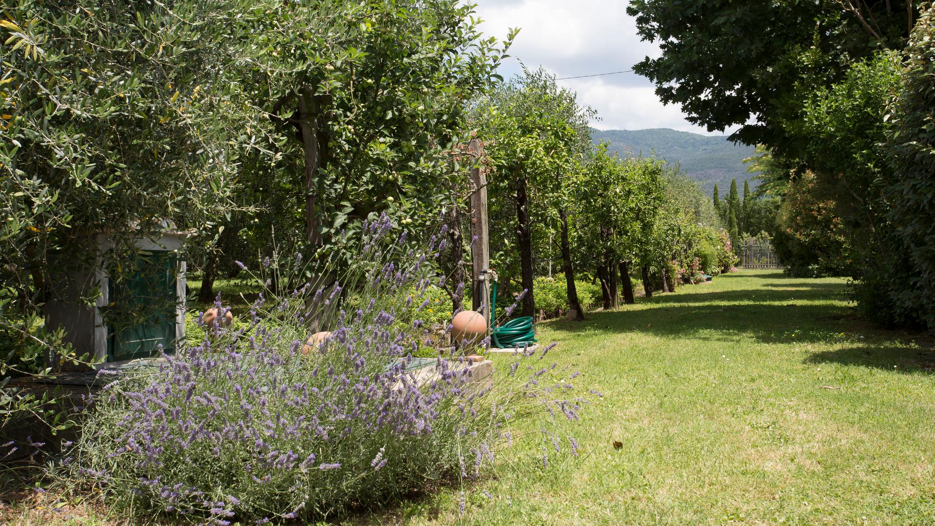 Agriturismo con piscina e parco a Cortona | La Renaia