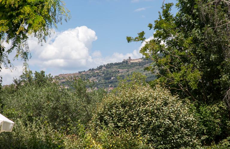 Agriturismo La Renaia Cortona | Photogallery