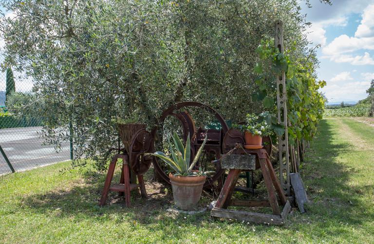 Agriturismo La Renaia Cortona | Photogallery